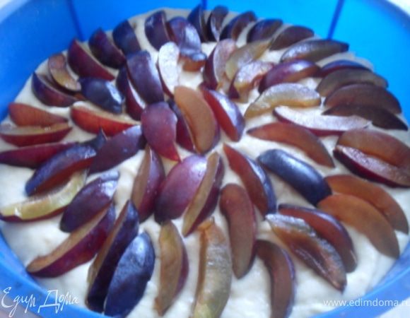 Форму для выпекания смазать маслом, выложить в нее тесто.Сверху разложить сливы.Поставить пирог в разогретую до 200*С духовку, выпекать пирог 20 минут.