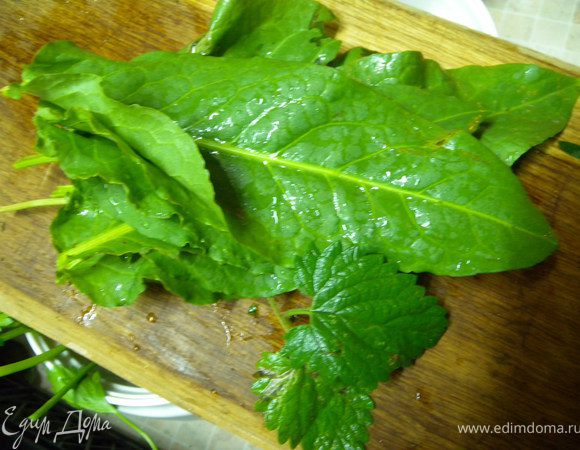 Очень нравится шпинат Утиуша. Листики есть с ранней весны до морозов. Плюс - многолетнее растение. 