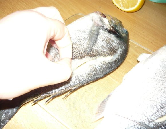 В надрезы вдоль хребта положить пластинки чеснока.