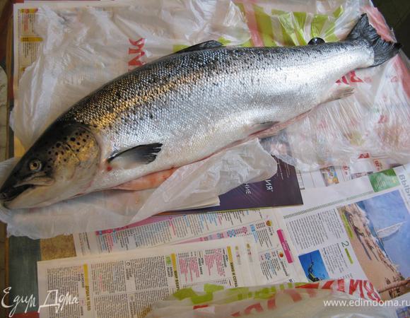 Вот он, красавец лосось, купленный по акции ни за что не скажу где)))