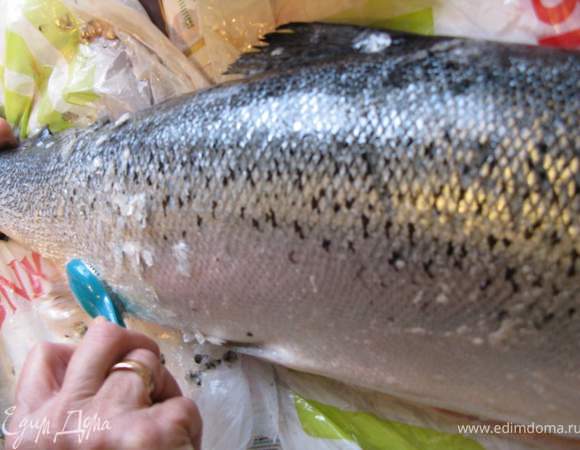 Надо его почистить. Прошу прощения у тех, кто всё это знает и не желает утомлять себя такими подробностями. Можете чистку пропустить и перейти к последним двум картинкам. Но от радости, что всё получилось, хочу всё рассказать. Итак, начинаем чистилкой от хвоста к жабрам.