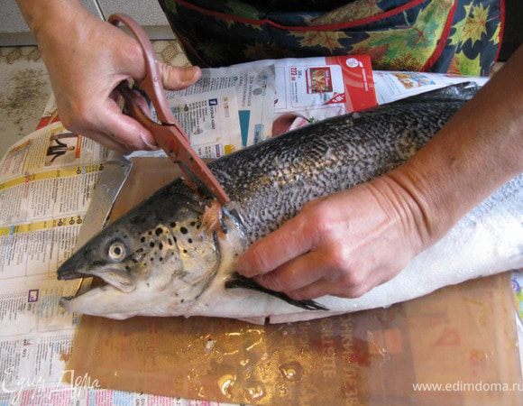 Голову надрезаем сверху и снизу ножом. Чтобы не терять мяса, по линии щёк режем ножницами.