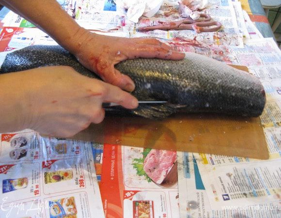 Когда рыба осталась без головы и хвоста, удобно отрезать спинной плавник.