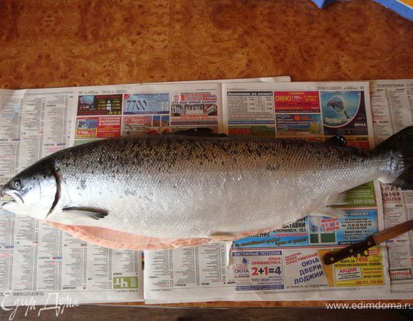 Вот такую семушку мы поймали. 6000 грамм. В наших краях клюет замечательно. Спросите на что? На деньги!