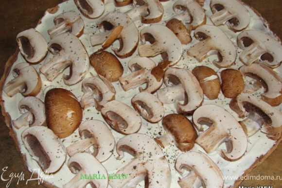 На один пирог укладываем почищенные, порезанные грибы, сыр моцареллу, приправляем травками. Готовый после выпечки пирог, посыпаем шнитт-луком.