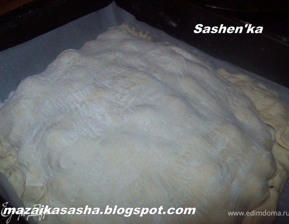 Накрыть вишню второй половиной теста и хорошо скрепить края