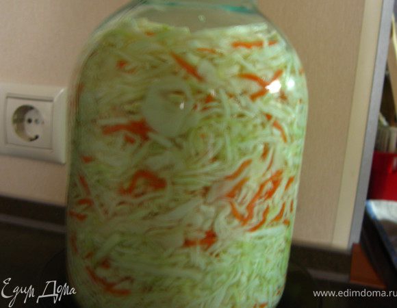 Залейте рассолом. Накройте капроновой крышкой. Банку поставьте в миску или глубокую тарелку (при брожении рассол может выливаться из-под крышки). Оставьте на 3 дня при комнатной температуре. Через 3 дня сделайте углубление в капусте деревянной палочкой, чтобы вышла горечь и оставьте на несколько часов. Если есть возможность, лучше вынести на это время на воздух. Капуста готова: хрустящая, нежно-кислая, очень вкусная!