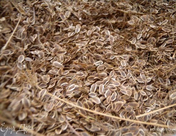 Семена укропа. Их как-то редко используют, но мне нравится. В хлебе и как приправа в салаты. Собрать можно с уже старых кустов укропа и просто подсушить. 