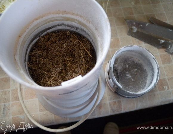 Можно в целом виде,  а можно и в измельченном. 