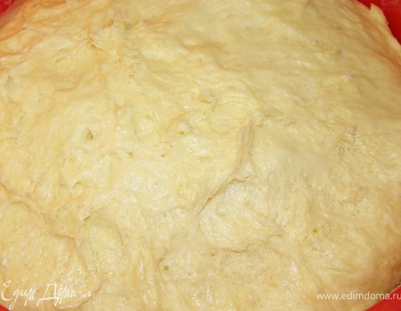 Смешаем вместе опару, молочно-яичную смесь и муку. Замесим тесто. Поставим в теплое место и дадим подняться вдвое. (примерно час)