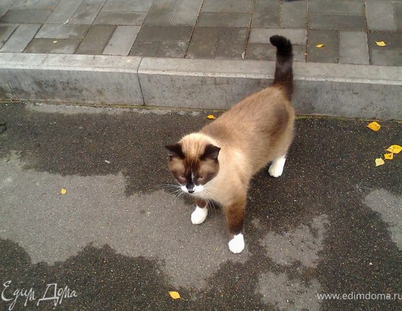 И удачного рабочего дня!