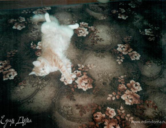 Простите, если напишу лишнее, хотелось бы с кем-нибудь поделится, а то я все дома сижу, увидела в одном рецепте замечательного кота, который вольготно развалился, ни жизнь, а манна небесная. Так как у меня серьезное заболевание - рассеянный склероз, каждый год я лежала в больнице и однажды я унесла с собой из больницы рыжего котенка. Он был размером с кулачок и я ему варила кашку манную и однажды он перестал чавкать и настала тишина, оказалось он благополучно уснул мордочкой в каше. Вот такая история! Заранее благодарна, что не поленились и прочитали всю муру, которую я написала.  