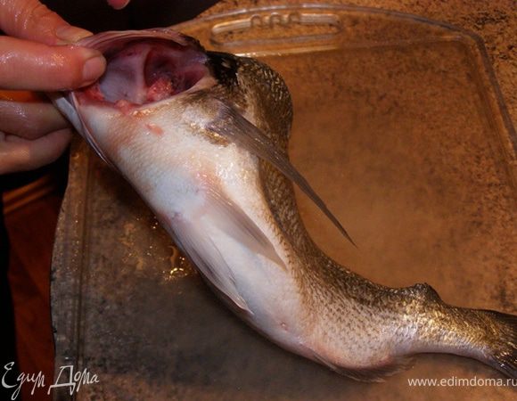 Уберем жабры