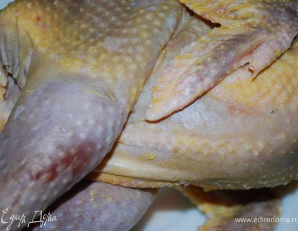 После ее молчаливого согласия приводим ее в состояние готовой к маринованию тушки. Маринуем в сметане с солью, перцем, прованскими травами в течение часа.