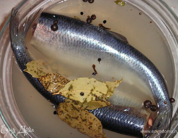 Заливаем нашу рыбку холодным маринадом. накрываем крышкой, сверху груз чтобы она не всплывала и ставим мариноваться при комнатной температуре на 2-3 дня.