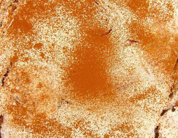 Ну а теперь приготовим оливковый пай с яблоками.  Муку просеем через сито и добавим в нее разрыхлитель. Яйца и желтки взбиваем с сахаром и солью добела. Теперь в яичную смесь добавим молоко и оливковое масло, хорошенько перемешиваем. Вливаем смесь в муку, добавляем кедровые орешки и мелкие кубики очищенных антоновских яблок. Окончательно вымешиваем. Должна получиться консистенция негустой сметаны.