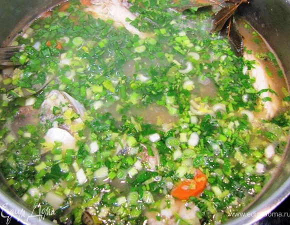 Теперь очень важно не переварить рыбу. Она должна вариться не более 20 минут. Поэтому в первую очередь кладите картофель. Через 5 минут рыбу, пшено, лавровый лист, перец горошком. Еще через 15 минут положите морковь и чайную ложку томатной пасты. Посолите и попробуйте на вкус. Досолите, если необходимо. Через 5 минут положите зелень и выключите огонь. Дайте постоять минут 10 под закрытой крышкой. Поперчите черным перцем непосредственно в тарелке для придания дополнительного аромата.