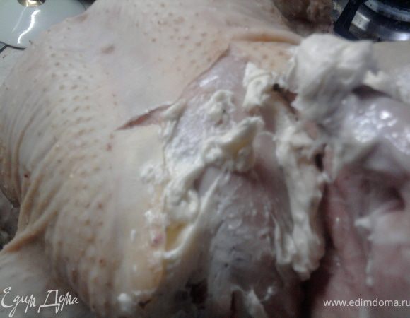 Аккуратно приподнять кожицу на тушке и хорошо распределить под ней сливочное масло. У меня была очень холодная индейка и кожа немного порвалась.