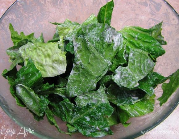 Порвите листья салата и заправьте его соусом Цезарь, перемешав его руками.