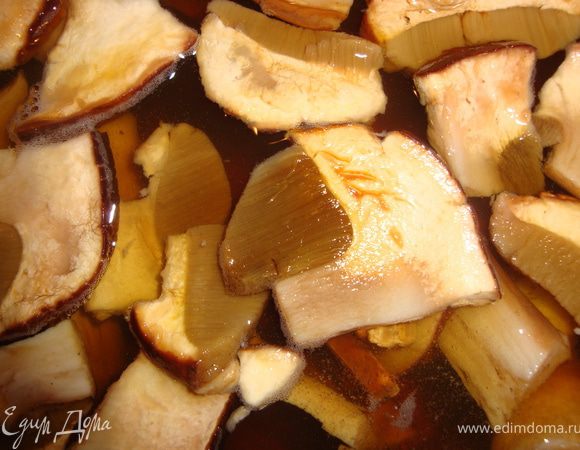 Утром, хорошенько выспавшись и позавтракав, обязательно с хорошим настроением, можно приступить к приготовлению. Вынимаем кастрюлю с грибами из холодильника. Пока мы спали-отдыхали-восстанавливались, грибы тоже, как и мы, восстановились. Вот какие красивые грибочки получились...