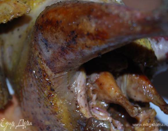 Перепелкой-цесарку.