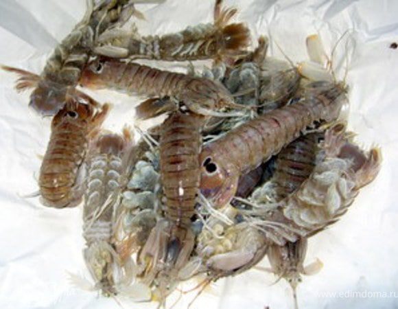 Раки-богомолы