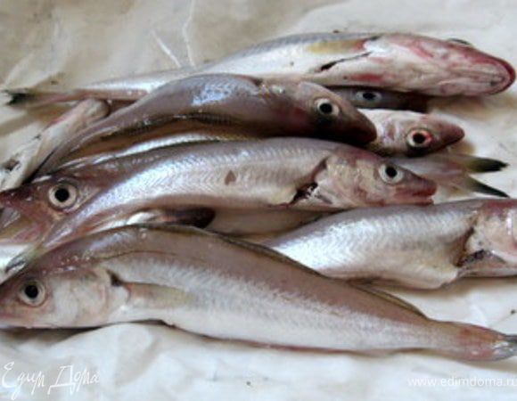 Водяная курочка