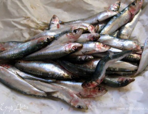 Свежая салака (или килька?)