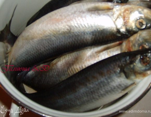 Моем хорошенько селедку