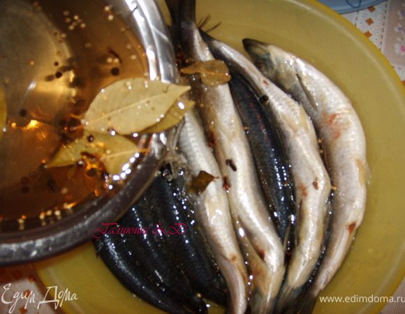 Теперь заливаем маринадом нашу сельдь