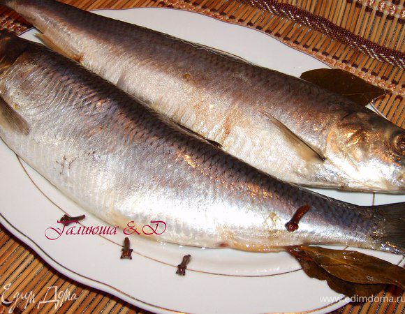 И можно забыть про нее на 2 дня. Я держала-мариновала ее на балконе. А через два дня у вас на столе ароматная пряная сельдь домашнего посола :)) Приятного аппетита, Друзья мои!!!:))