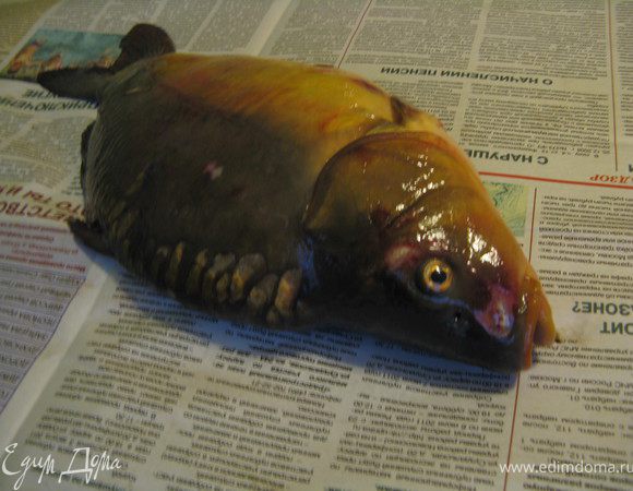 Фаршированная рыба - пример максимального использования исходного продукта. Голова  и скелет понадобятся для бульона, в котором будет вариться блюдо, а в кожу заворачивается сделанный из филе фарш. С практической точки зрения предпочтительней зеркальный карп, так как у него меньше чешуи и дело идет быстрее. Чехов и Куприн описывают фаршированную щуку, но это в шинках и на постоялых дворах. Для себя небогатые евреи часто брали рыбу подешевле - сазана, толстолобика, карпа.