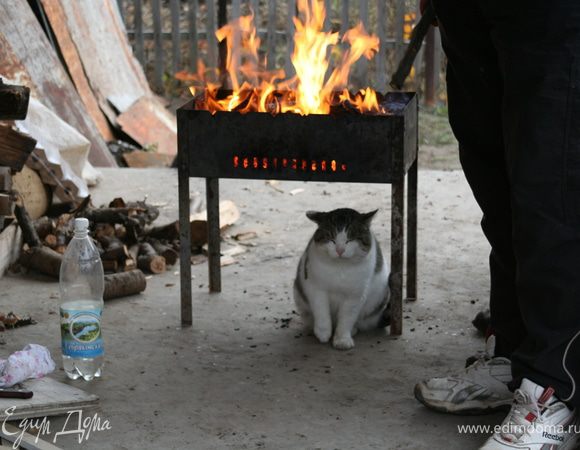 Закладываем в мангал дрова или готовые угли, заливаем специальной жидкостью для розжига и поджигаем. Ждем пока кот согреется... То есть когда огонь погаснет и угли не станут тлеть. 