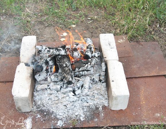 В качестве мангала можно вполне использовать кирпичи. Для этого расстояние между ними замерьте по длине шампуров. Еще раз хочу заметить. Очень важно иметь хорошие шампуры. При этом их достаточно пяти штук. Мангал можно не иметь вовсе.