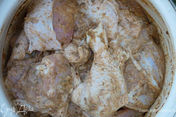 Курицу помыть и высушить.Лук пропустить через мясорубку(можно блендором)до состояния пюре.Всё смешать с курицей и поставить в холодильник на 3 часа. Затем жарьте на мангале.