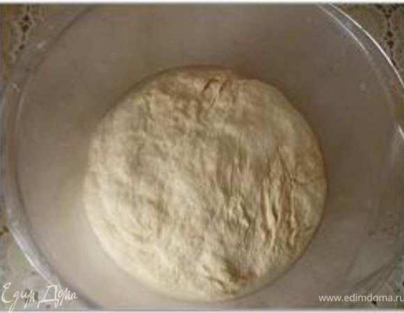 В готовую опару добавить воду и дрожжи; хорошо перемешать. Добавить муку (1 1/2 стакана), соль и замесить тесто. Выложить тесто на стол и хорошо вымесить (10-15 минут), периодически подсыпая муки; тесто должно быть не липким, умеренно мягким и эластичным.
Сформировать из теста шар и положить в смазанную растительным маслом миску.