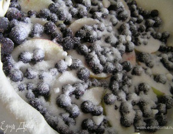 сверху выложить смородину, посыпать сахаром и ванилином,