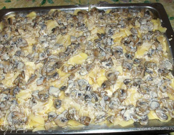 На противень выложите нарезанный картофель, полейте сметанным соусом и равномерно разложите грибы.