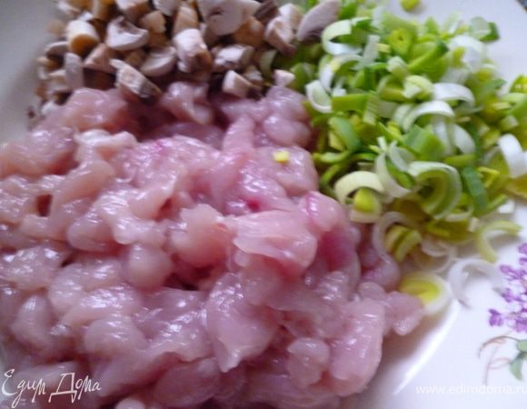 Пока тесто будет подходить займемся начинкой.Куриное филе нарезать небольшими кубиками,грибы тоже кубиками,лук-порей полукольцами.