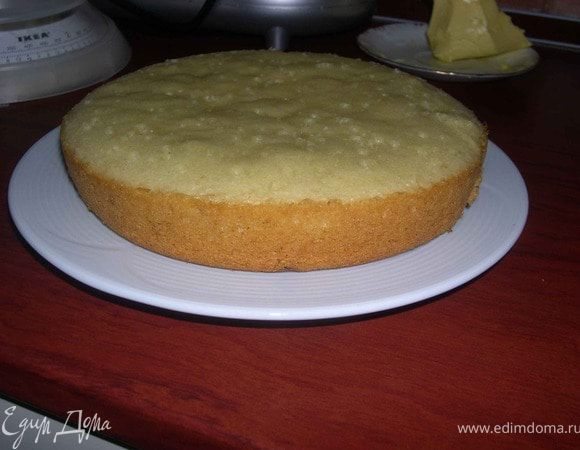 А вот и мой красавец...