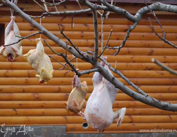 Снимем индейку с чудо-дерева.