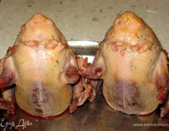 Наполнить голубей начинкой и зашить.
Форму для выпечки смазать оливковым маслом, поместить в неё голубей, посолить их и поперчить снаружи, сбрызнуть оливковым маслом и запекать при 200° около 45 минут. Через 20 минут облить голубей белым вином.