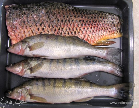 Итак - котлеты из сазана с судаком в томатном соусе - как добиться сочности
Процесс приготовления довольно трудоемкий, но несложный. Результат будет просто великолепным потому, что не будет неприятного запаха пресноводной рыбы, который иногда ощущается, котлеты будут очень сочные, травы, лук составят очень богатый букет, а кислота помидор великолепно будет сочетаться со сладостью рыбы. Идея томатного соуса пришла мне, когда я попробовал в китайском ресторане Ежика из судака под красным соусом.
На снимке - Котлета из судака с сазаном, картофельное пюре со шпинатом, перья зеленого лука. Котлета полита сверху томатным соусом, в котором готовилась рыба.
