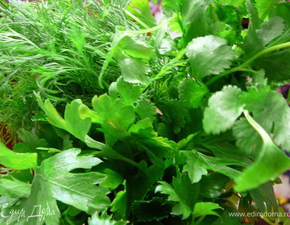 Петрушку вымыть и обсушить.Листья порубить.