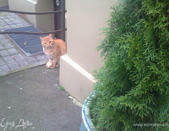 Всех с наступившим!!!...Чем не ёлочка?)))