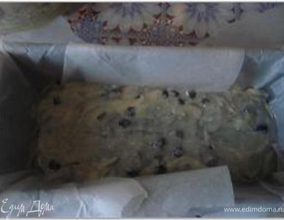 В форму смазанную маслом выложить тесто с ягодами.