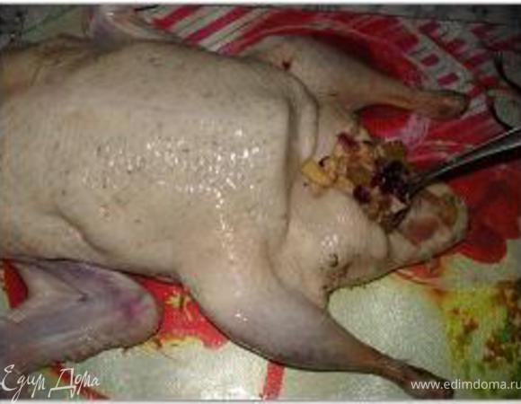 Подготовленную утку начинить массой со свининой