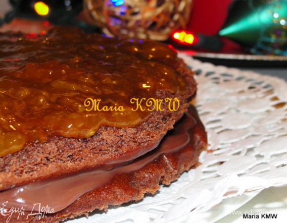 Получилось насыщенно и вкусно, сам бисквит с какао-кофейным вкусом очень понравился.