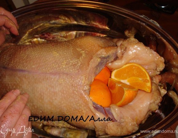 Подготовленную тушку гуся (промытую и обсушенную) посолить внутри и снаружи, поперчить только внутри. Смазать гусику спинку и опустить его в гусятницу. Апельсины помыть, обсушить, разрезать на 4 части и заложить внутрь гуся.