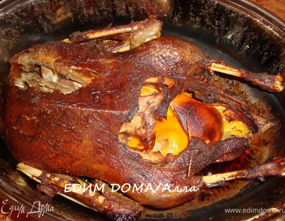 Накрыть гусятницу крышкой и отправить в духовку, разогретую до 180 градусов часа на 3-4. Примерно раз в час поливать гуся вытапливающимся жиром.